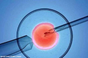 陈医生
